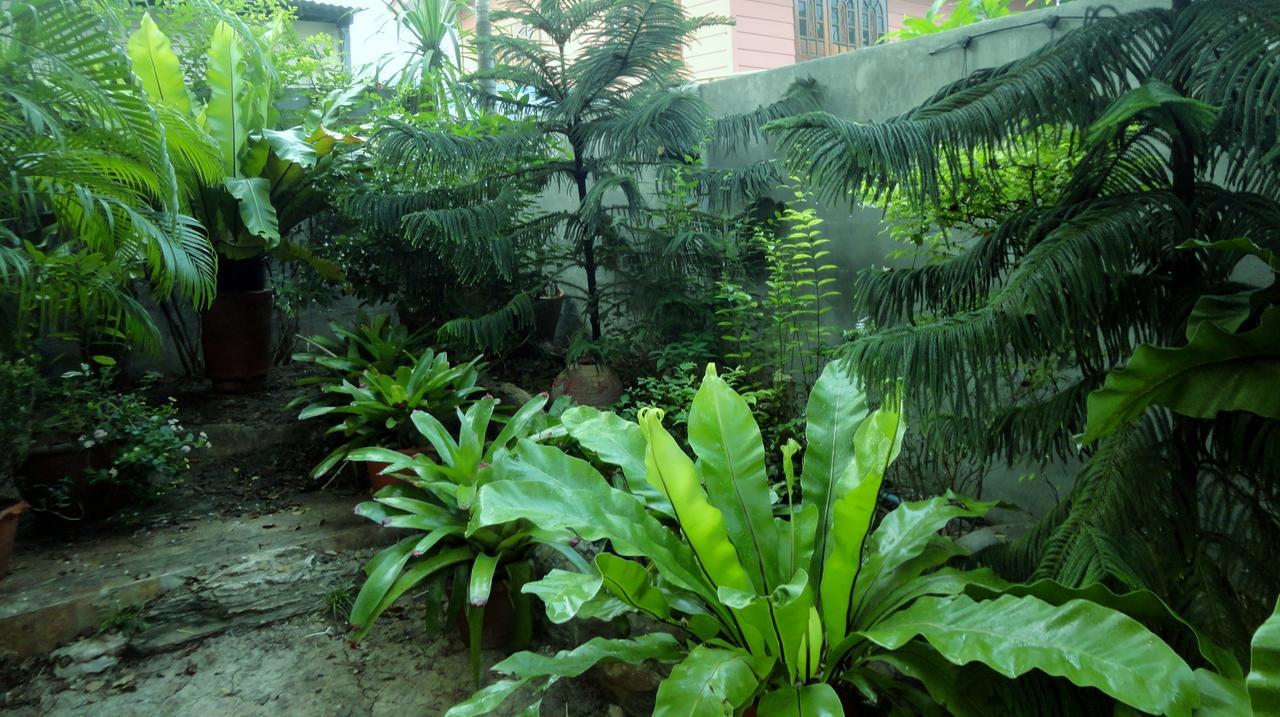פרה נאקון סי איוטאיה Moradok Thai Guesthouse מראה חיצוני תמונה